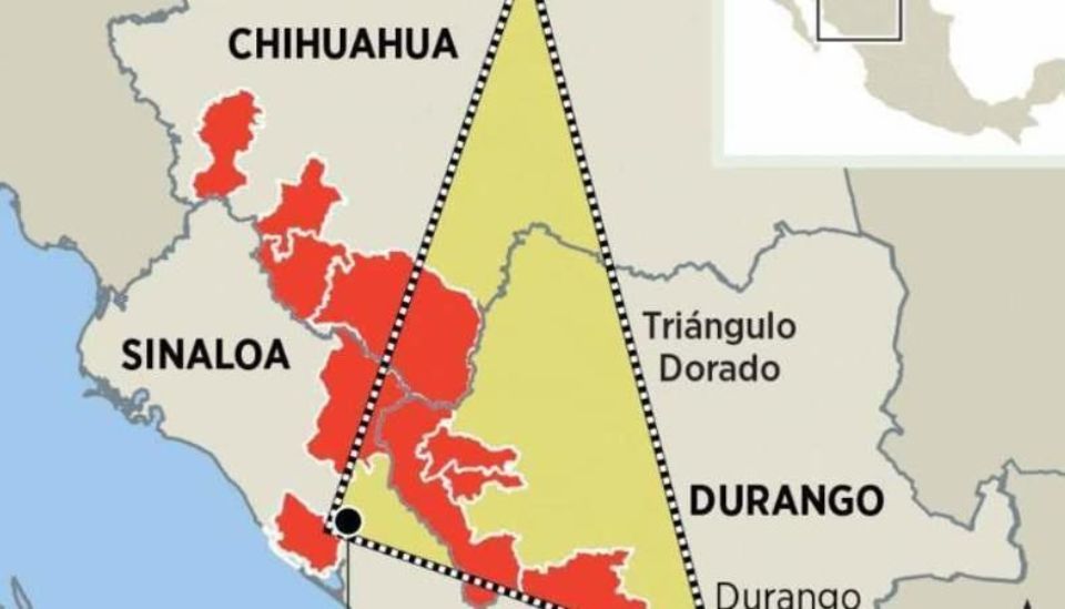 Triangulo dorado